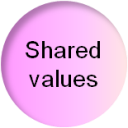 Social business model canvas: the shared values