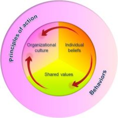 Social Business Models: Shared values canvas