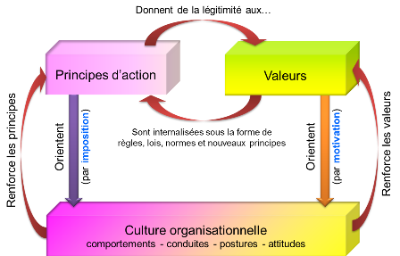  Valeurs, principes d'action et culture organisationnelle